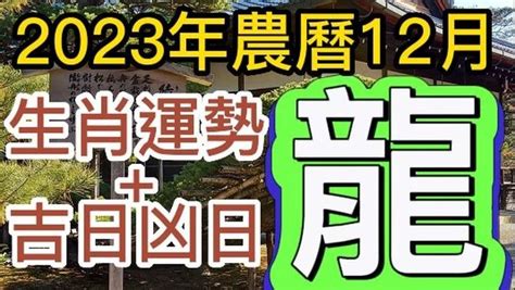 張古柏命理|【古柏論命每月運勢+吉日凶日】2024年農曆九月 (陽曆2024。